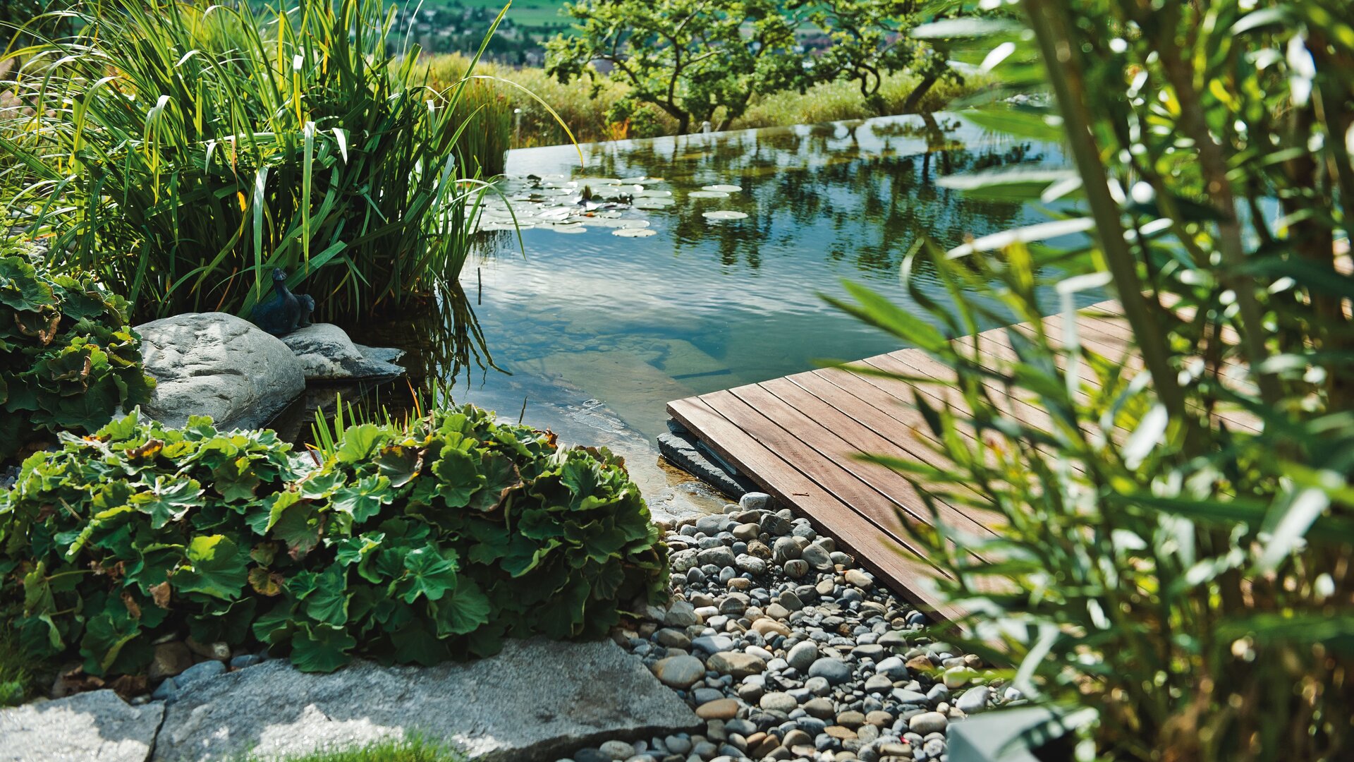 Holzdeck bei Naturteich