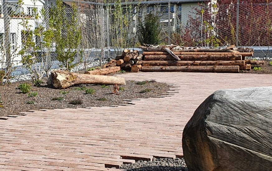 Biodiversitätsgarten auf einer Terrasse eines Bürogebäudes