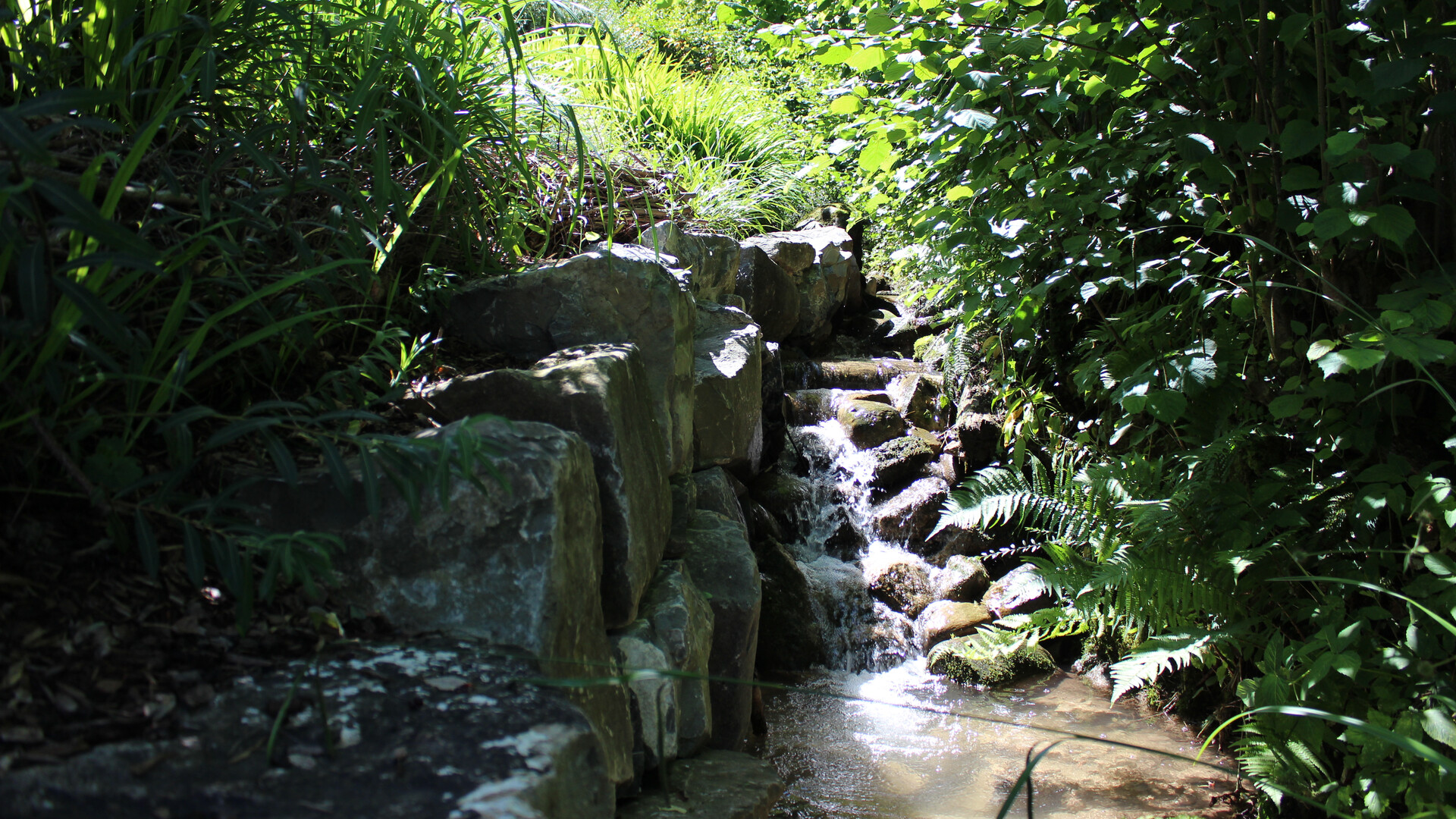 Bachlauf im Wald