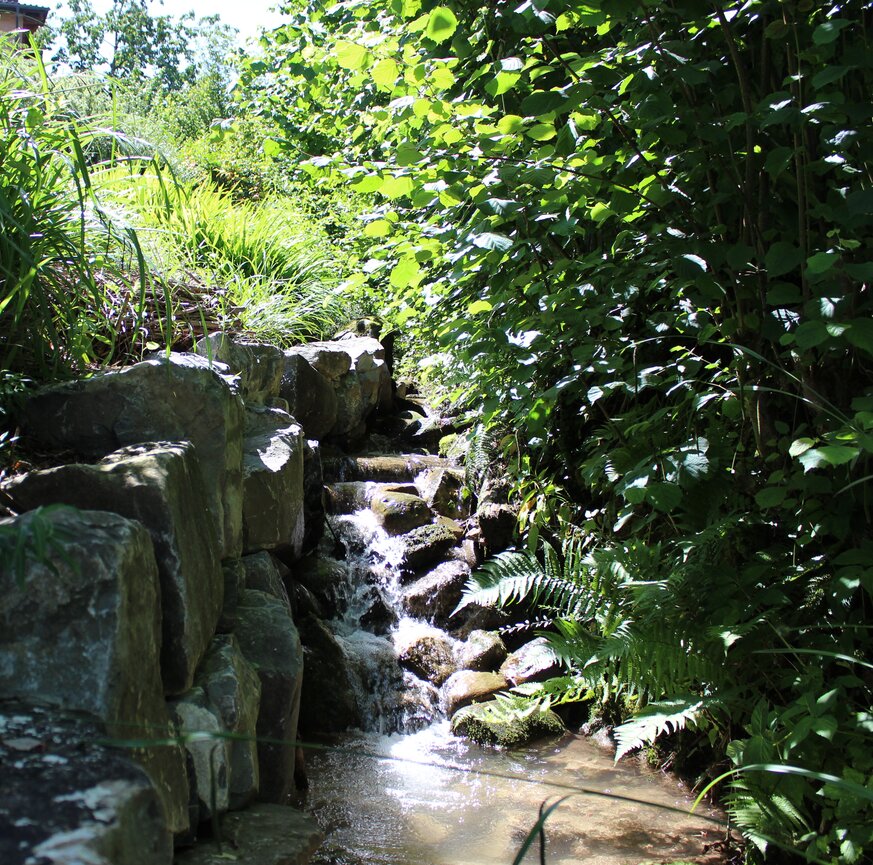Bachlauf im Wald