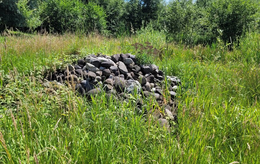 Steinhaufen in einer Wiese Biodiversität