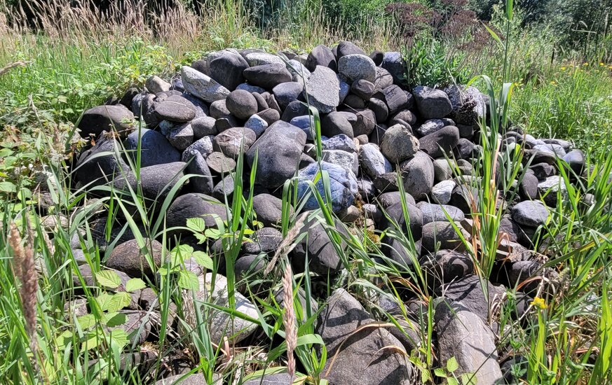 Steinhaufen für Tiere Biodiversität