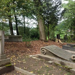 Englischer Friedhof Meggen