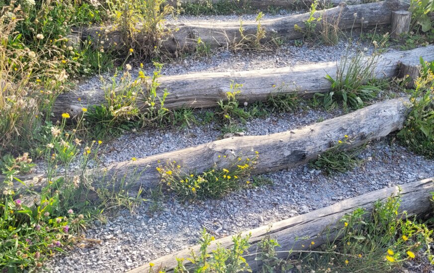 Treppe aus Holz auf einem Spielplatz