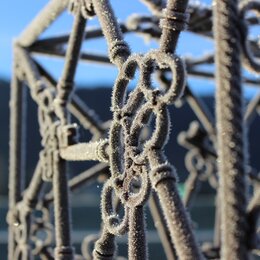 Gartenkunst im Winter Nahaufnahme