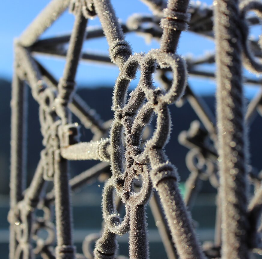 Gartenkunst im Winter Nahaufnahme