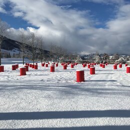 Gartenkunst im Winter