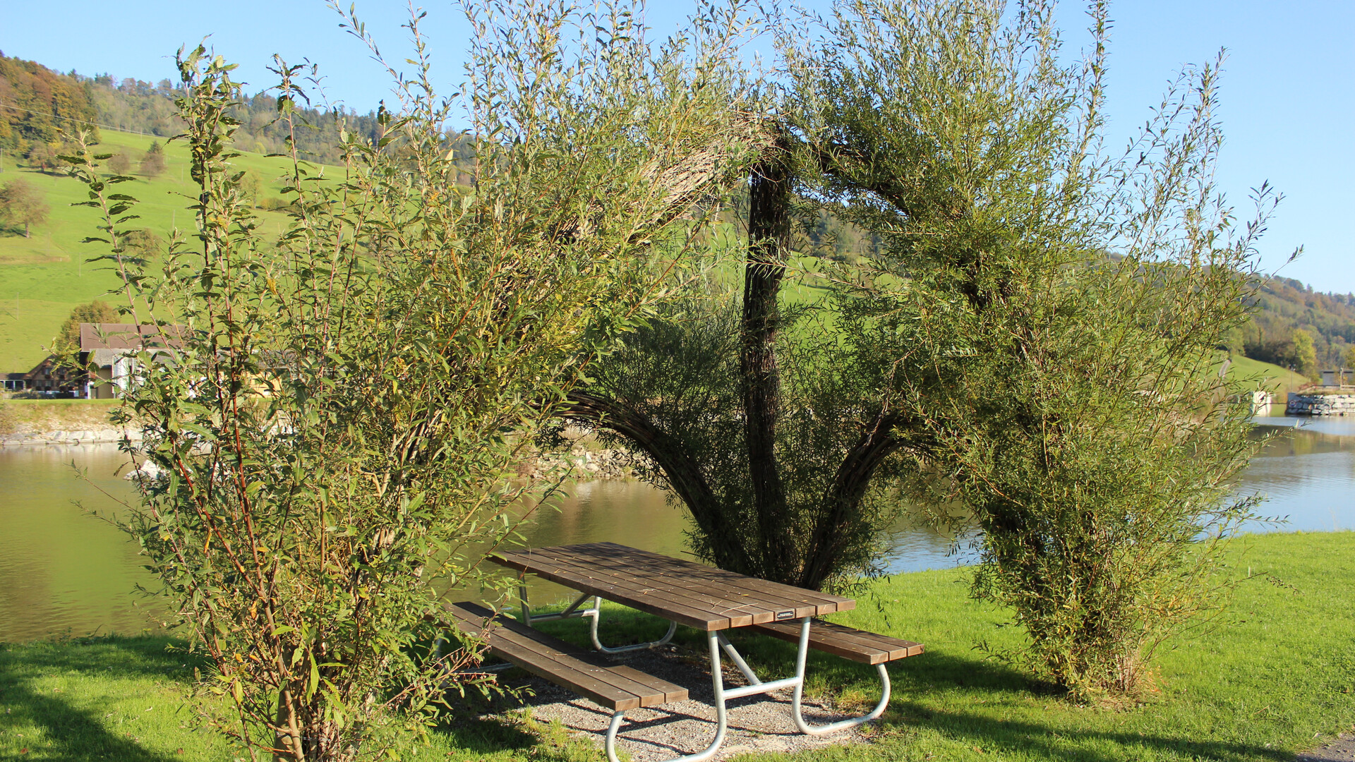 Weidenstruktur auf Spielplatz