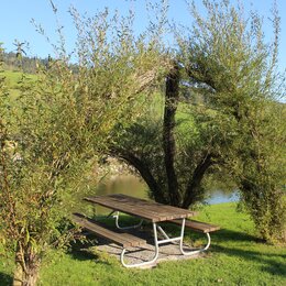 Weidenstruktur auf Spielplatz